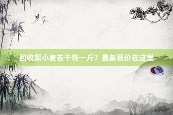 回收黑小麦若干钱一斤？最新报价在这里
