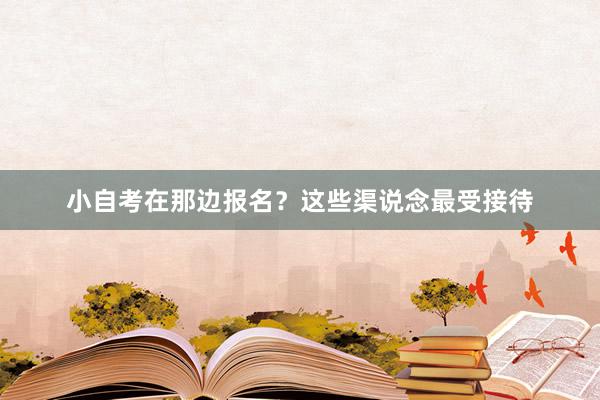 小自考在那边报名？这些渠说念最受接待