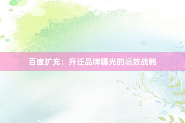 百度扩充：升迁品牌曝光的高效战略