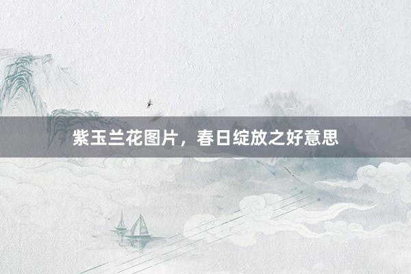 紫玉兰花图片，春日绽放之好意思