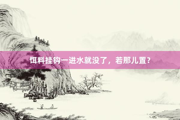 饵料挂钩一进水就没了，若那儿置？